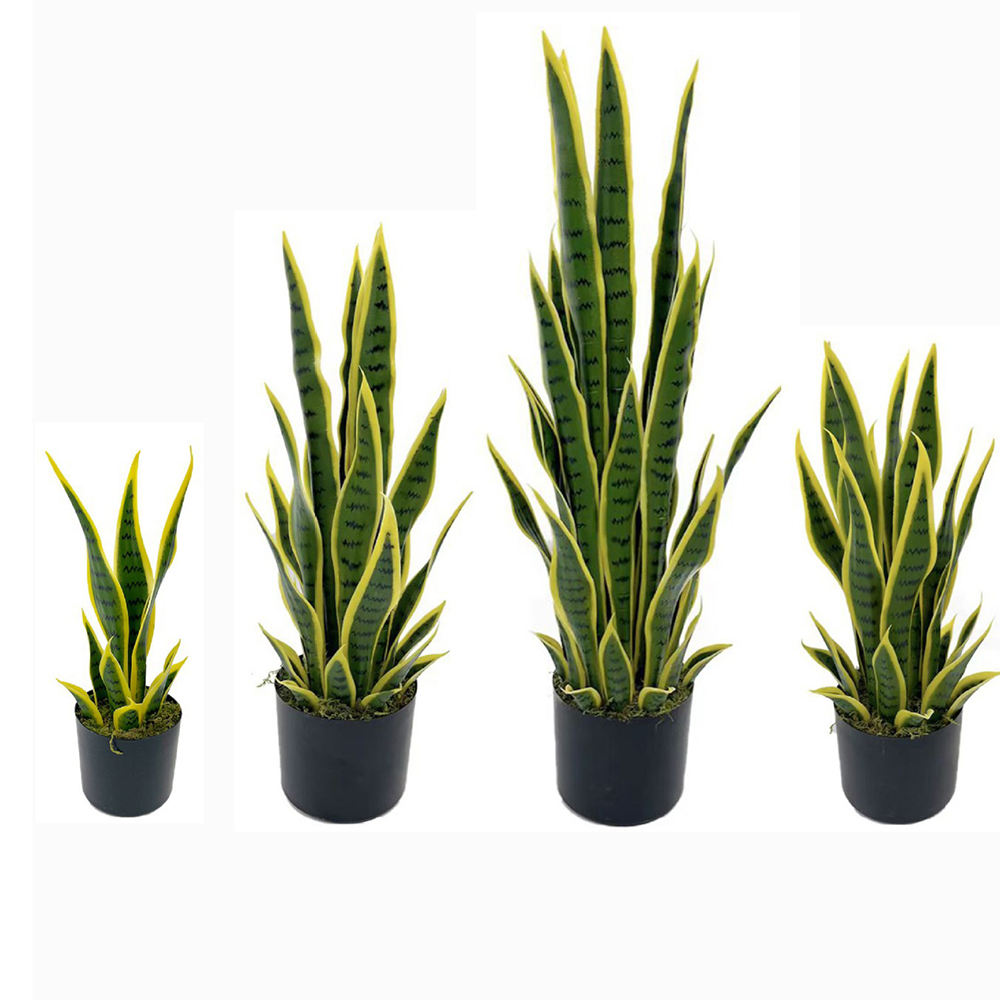 Desk Setup Plants - Искусственная сансевиерия (плющ) 40-100 см в