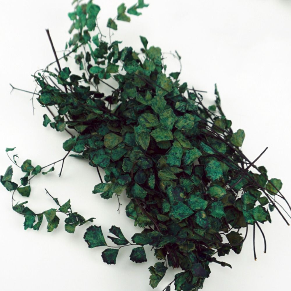 1 коробка, миниатюрная модель  – обзор и цена Desk Setup Plants