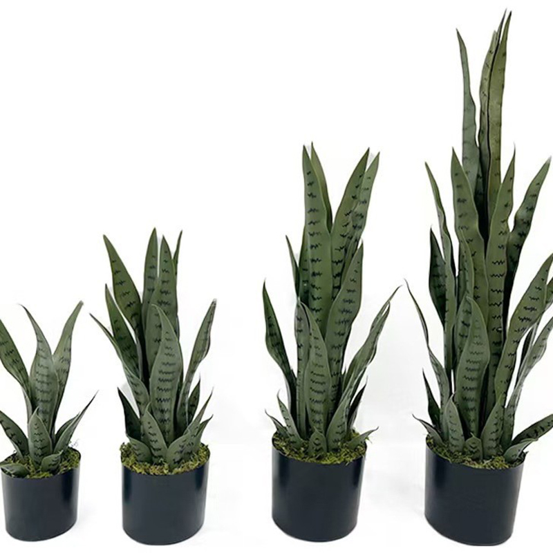 Искусственная сансевиерия (плю – обзор и цена Desk Setup Plants