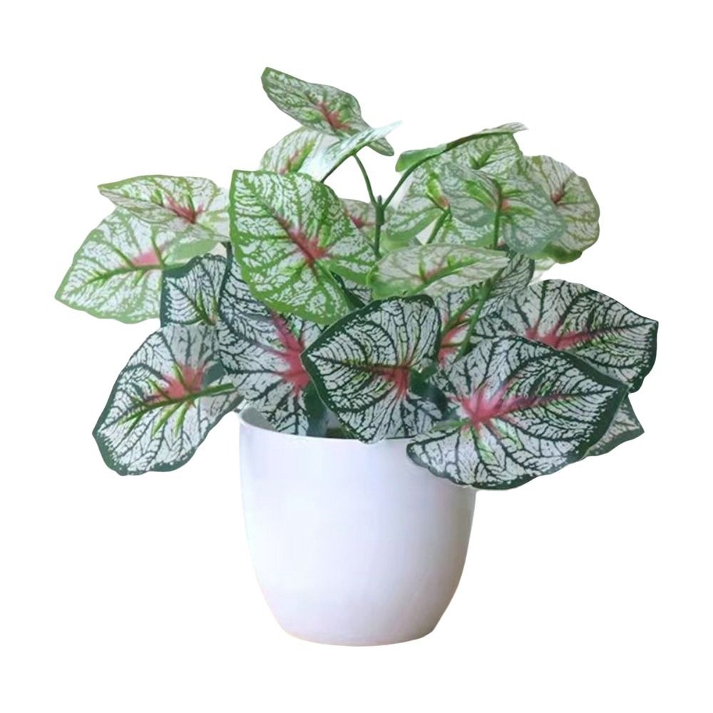 Миниатюрные искусственные цвет – обзор и цена Desk Setup Plants